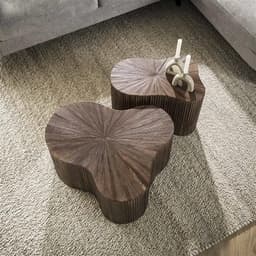 Salontafel Maya S/2 Teak - 1