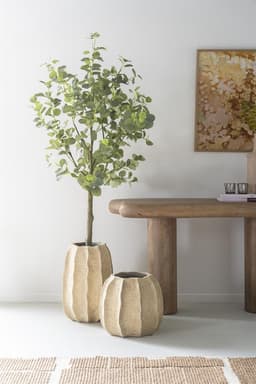 Vaas Pyrula 34,5x49,5 cm - 3