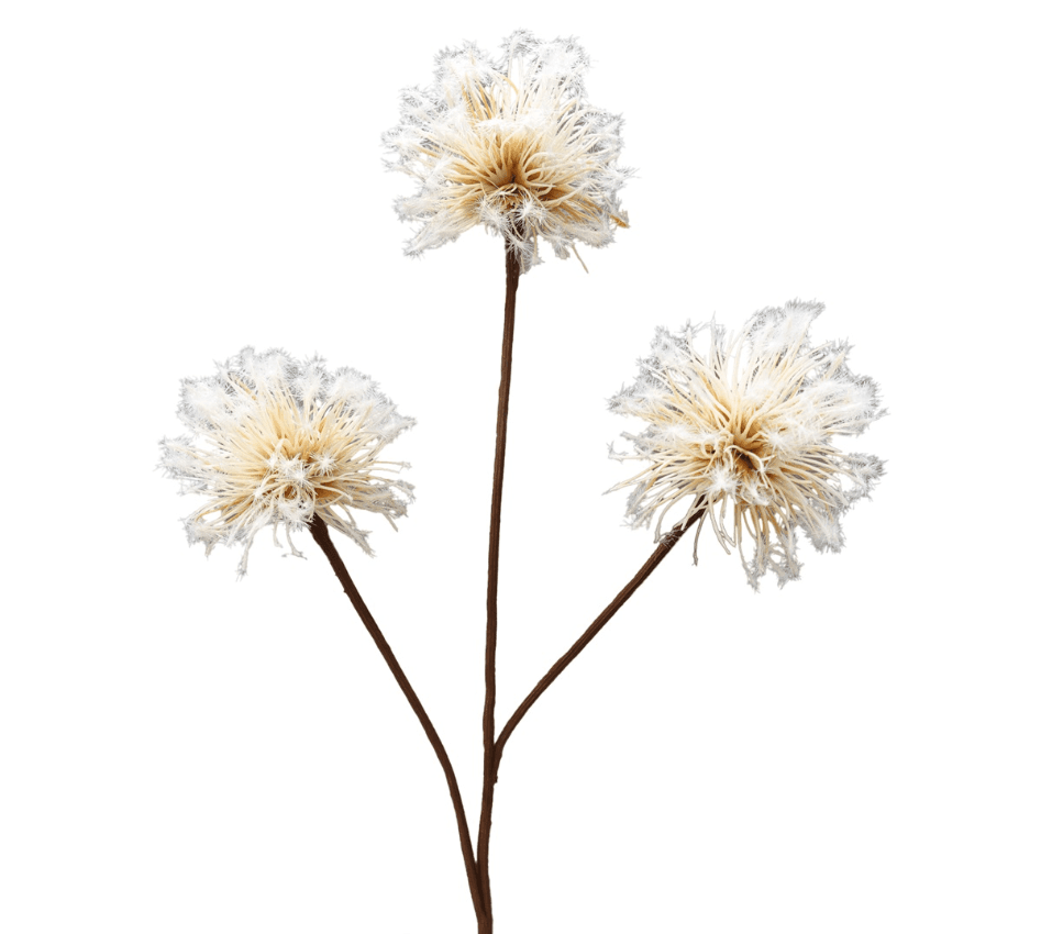 Paardenbloem 75 cm - creme